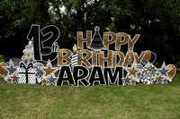 Aram's 007 Birthday Party